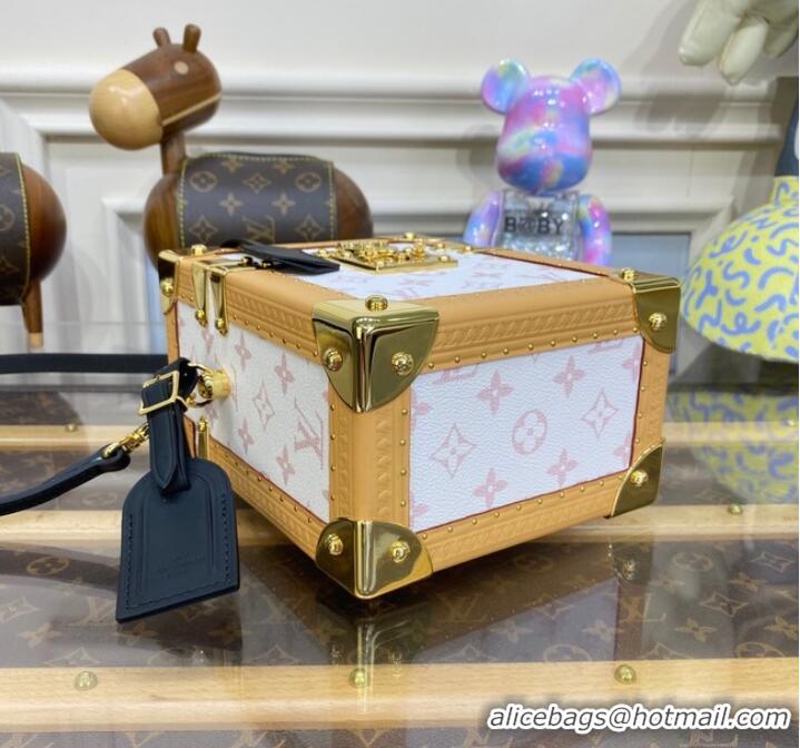 New Style Louis Vuitton Camera Box M10079