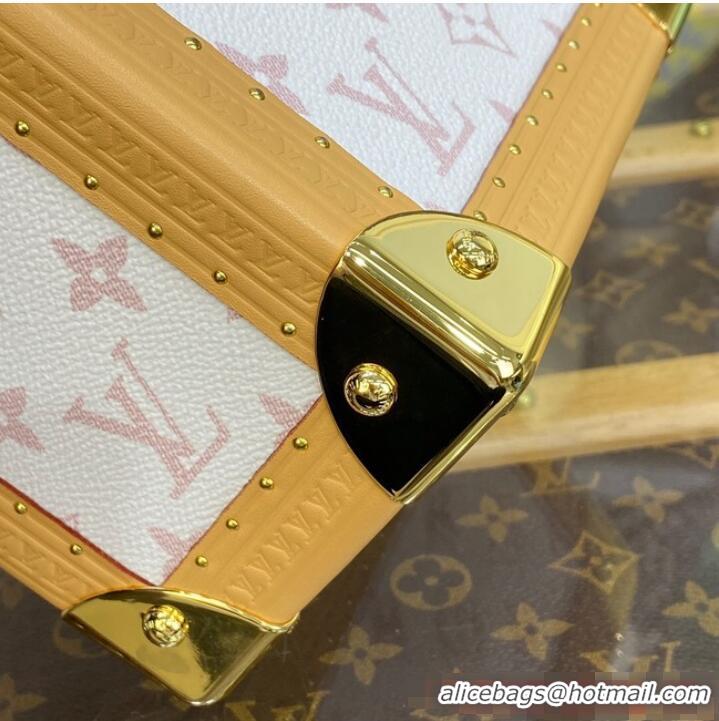 New Style Louis Vuitton Camera Box M10079