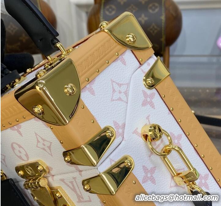 New Style Louis Vuitton Camera Box M10079