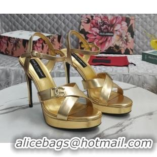 Good Product Dolce&Gabbana DG Calfskin High Heel Platform Sandals 12cm Gold 222139