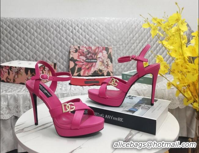 Best Grade Dolce&Gabbana DG Calfskin High Heel Platform Sandals 12cm Dark Pink 222143