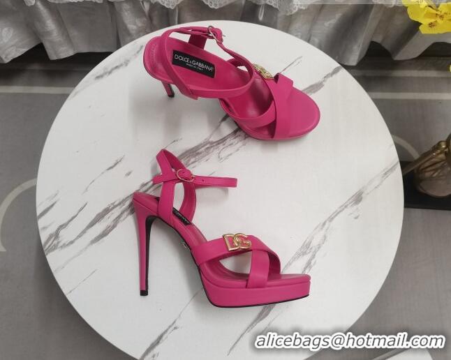 Best Grade Dolce&Gabbana DG Calfskin High Heel Platform Sandals 12cm Dark Pink 222143