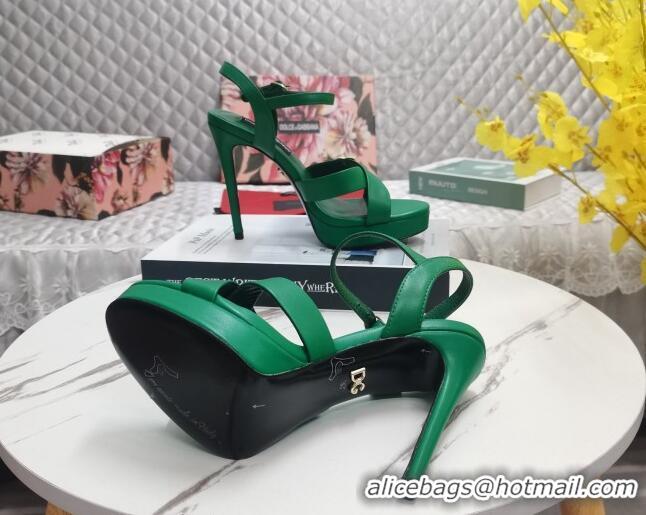 Durable Dolce&Gabbana DG Calfskin High Heel Platform Sandals 12cm Green 222146