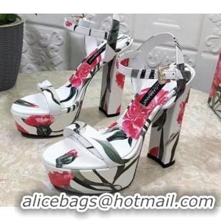 Charming Dolce & Gabbana DG Printed Calfskin High Heel Platform Sandals 15cm White 325050