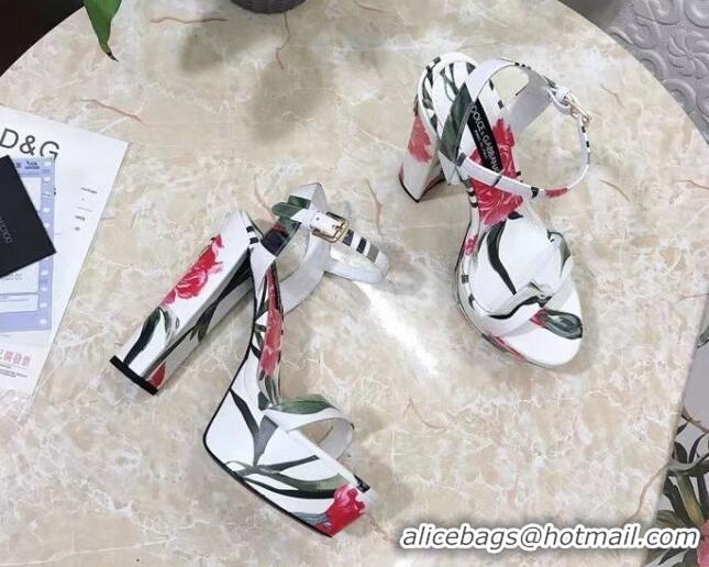 Charming Dolce & Gabbana DG Printed Calfskin High Heel Platform Sandals 15cm White 325050