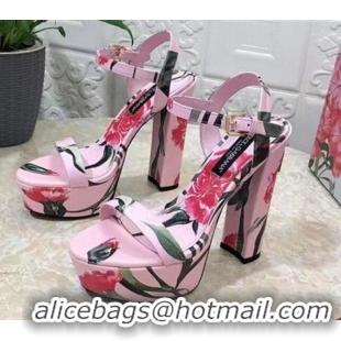 Best Product Dolce & Gabbana DG Printed Calfskin High Heel Platform Sandals 15cm Light Pink 325052