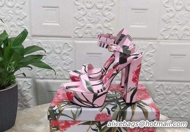 Best Product Dolce & Gabbana DG Printed Calfskin High Heel Platform Sandals 15cm Light Pink 325052