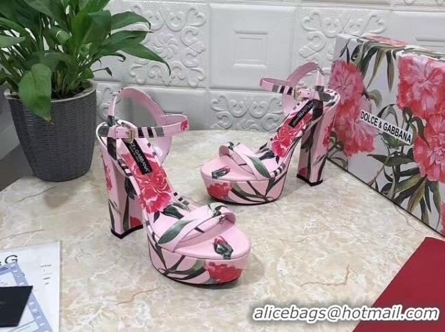 Best Product Dolce & Gabbana DG Printed Calfskin High Heel Platform Sandals 15cm Light Pink 325052