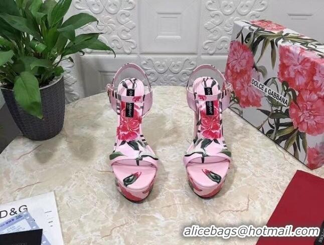 Best Product Dolce & Gabbana DG Printed Calfskin High Heel Platform Sandals 15cm Light Pink 325052