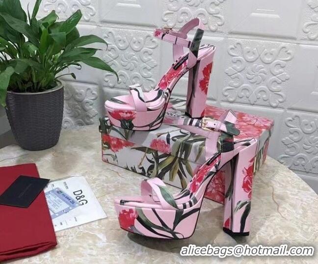 Best Product Dolce & Gabbana DG Printed Calfskin High Heel Platform Sandals 15cm Light Pink 325052