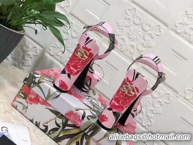 Best Product Dolce & Gabbana DG Printed Calfskin High Heel Platform Sandals 15cm Light Pink 325052