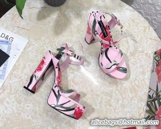 Best Product Dolce & Gabbana DG Printed Calfskin High Heel Platform Sandals 15cm Light Pink 325052