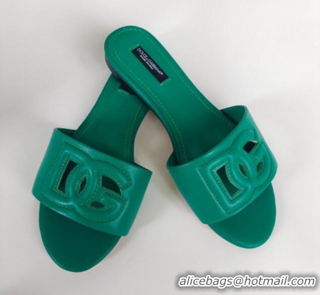 Lower Price Dolce & Gabbana DG Cutout Calfskin Flat Slide Sandals Green 071063