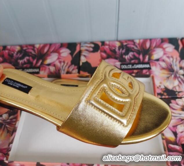 Big Discount Dolce & Gabbana DG Cutout Calfskin Flat Slide Sandals Gold 071064