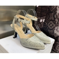 Purchase Dior Pumps 8cm in lizard Embossed Leather Grey 605022