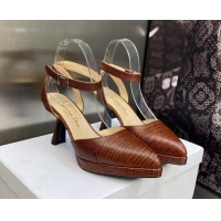 Pretty Style Dior Pumps 8cm in lizard Embossed Leather Brown 605024