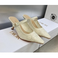 Luxurious Dior Capture Heeled Mules 6.5cm in Transparent Mesh Embroidered with Light Beige Saint-Gall Motif 606050