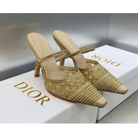 Best Grade Dior Capture Heel Mules 9.5cm in Gold Cannage Embroidered Mesh with Crystals 620023