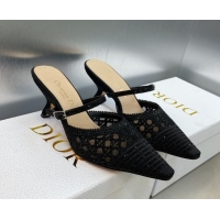 Inexpensive Dior Capture Heel Mules 6.5cm in Black Cannage Embroidered Mesh with Crystals 620026