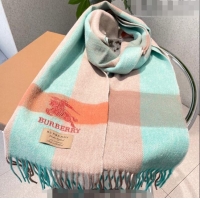 Super Quality Burberry Cashmere Long Scarf 32x180cm BR09132 Light Green/Pink 2023