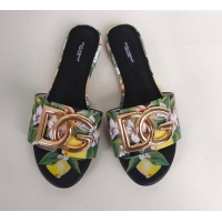 Best Grade Dolce & Gabbana DG Printed Flat Slide Sandals Black 071070