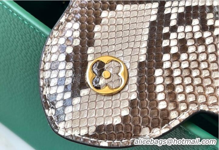 Top Quality Louis Vuitton Capucines BB N48865 Green