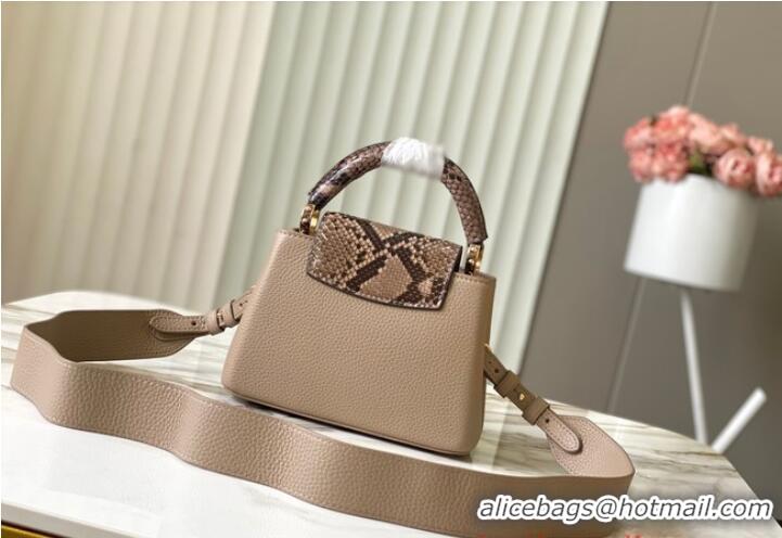 Top Quality Louis Vuitton Capucines Mini N81209 Gray