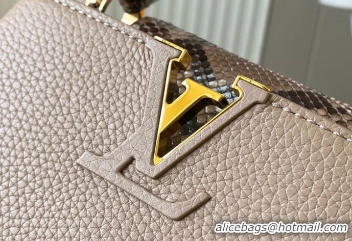 Top Quality Louis Vuitton Capucines Mini N81209 Gray