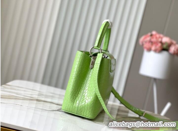 Buy Discount Louis Vuitton Capucines MM N93419 Light Green