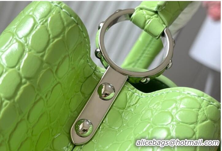 Reasonable Price Louis Vuitton Crocodile Capucines BB N48865 Light Green