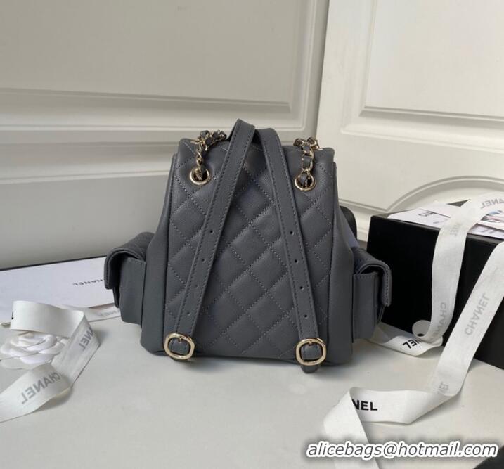 Famous Brand Chanel small BACKPACK AS4398 GRAY