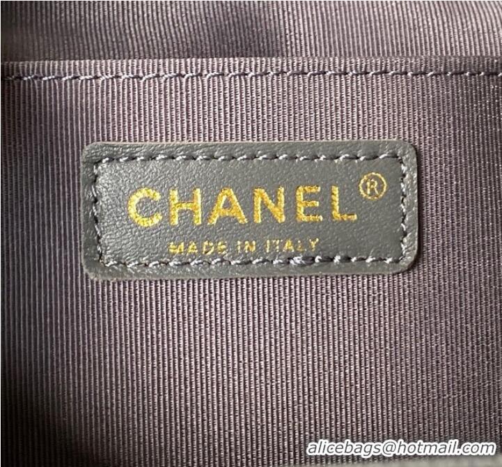 Famous Brand Chanel small BACKPACK AS4398 GRAY