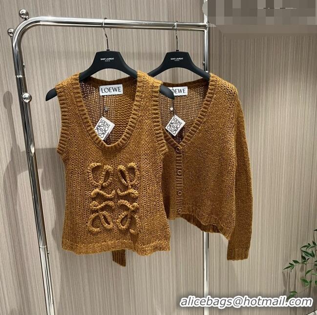 ​Trendy Design Loewe Knit Vest L91527 Brown 2023