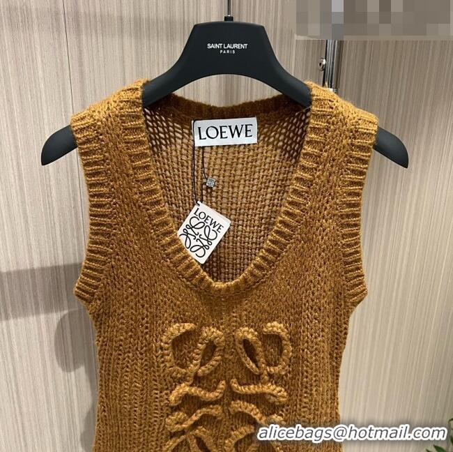 ​Trendy Design Loewe Knit Vest L91527 Brown 2023