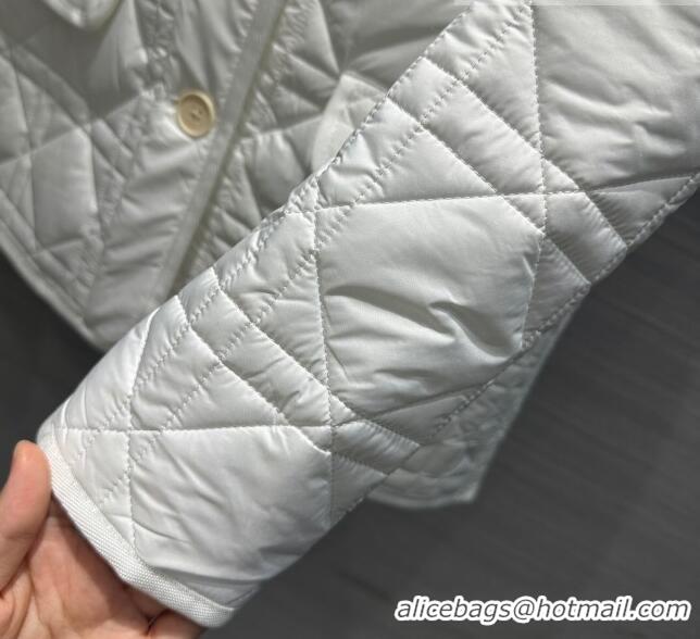 Famous Brand Dior Padded Jacket D101912 White 2023