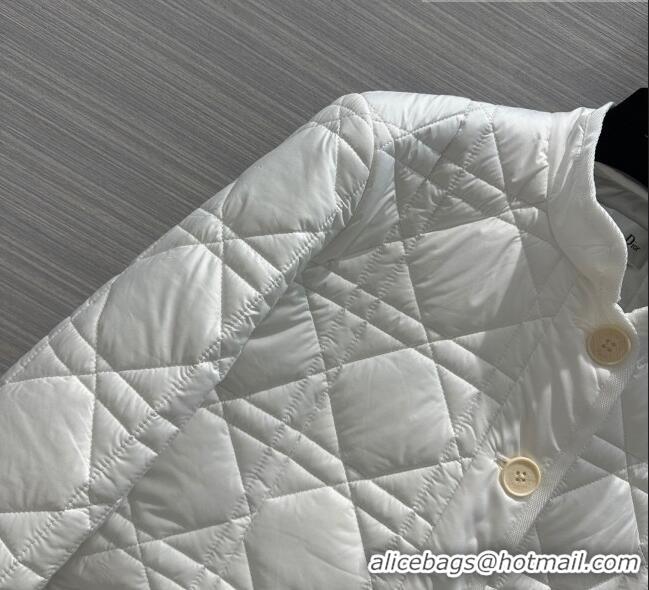 Famous Brand Dior Padded Jacket D101912 White 2023