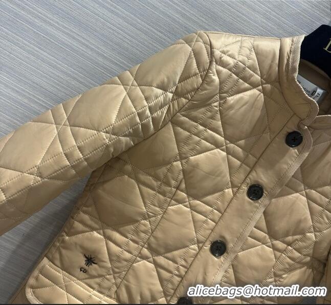 Well Crafted Dior Padded Jacket D101913 Beige 2023