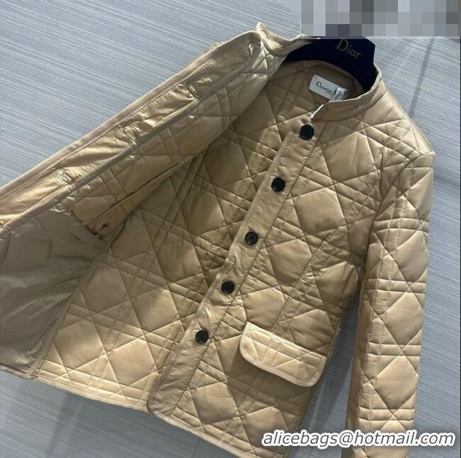 Well Crafted Dior Padded Jacket D101913 Beige 2023