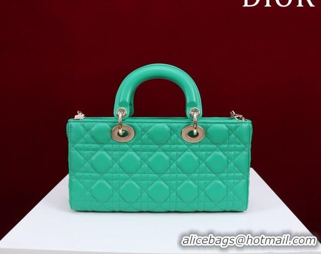 New Design Dior Medium Lady D-Joy Bag in Cannage Lambskin 1021 Light Green 2023