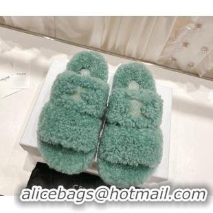 Fashion Celine Logo Wool Slide Sandals Light Green 804084