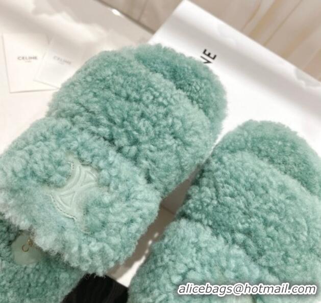 Fashion Celine Logo Wool Slide Sandals Light Green 804084