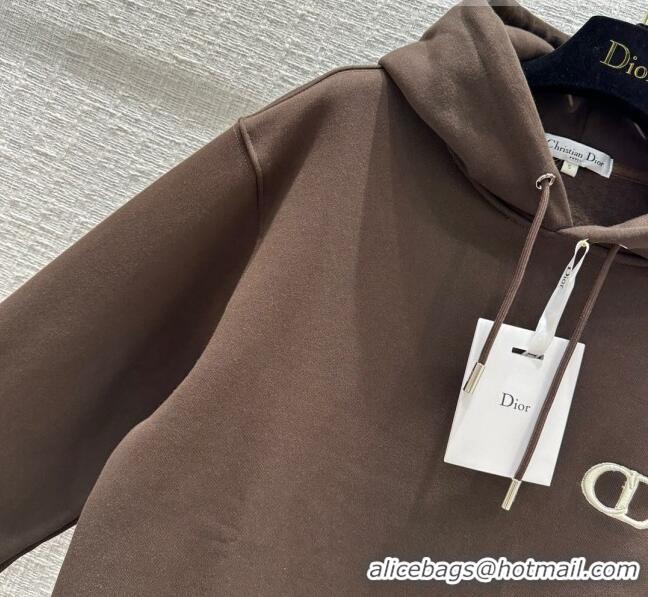 Famous Brand Dior Hoodie D102107 Brown 2023