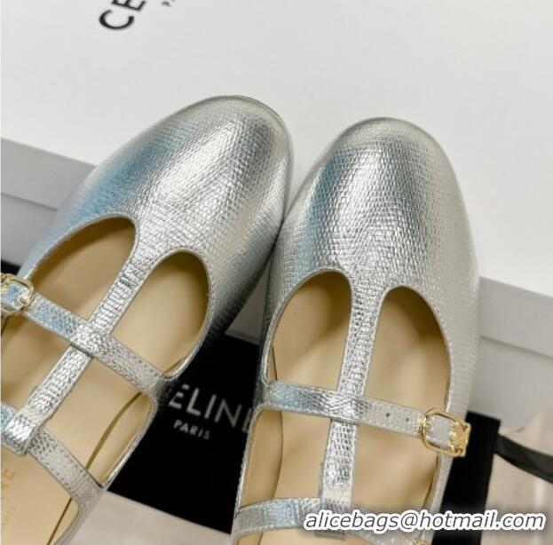 Purchase Celine Double Strap Mary Jane Ballerinas in Calfskin Silver 725075