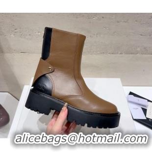 Top Quality Celine Bulky Ankle Boots with Back Zip and Triomphe in Calfskin Brown 1013127