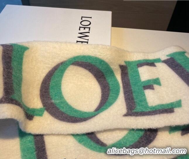 Modern Classic Loewe Wool and Mohair Long Scarf 24x185cm LE10182 White 2023