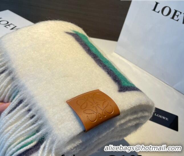 Modern Classic Loewe Wool and Mohair Long Scarf 24x185cm LE10182 White 2023