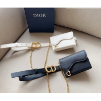 Famous Brand Dior Leather Saddle Belt Bag CD1018 2023