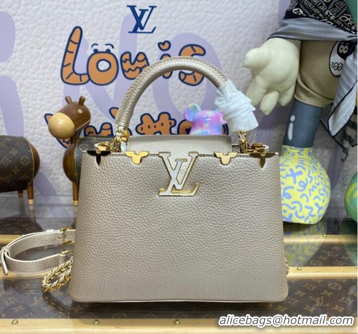 Top Design Louis Vuitton CAPUCINES BB N93164 Gray