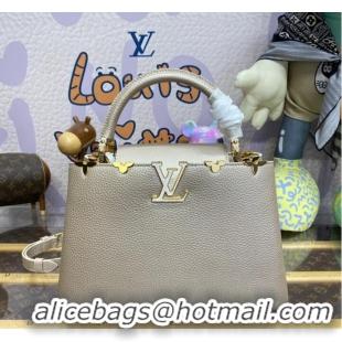 Top Grade Louis Vuitton Capucines MM N93419 Gray