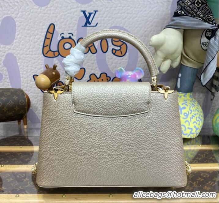 Top Grade Louis Vuitton Capucines MM N93419 Gray